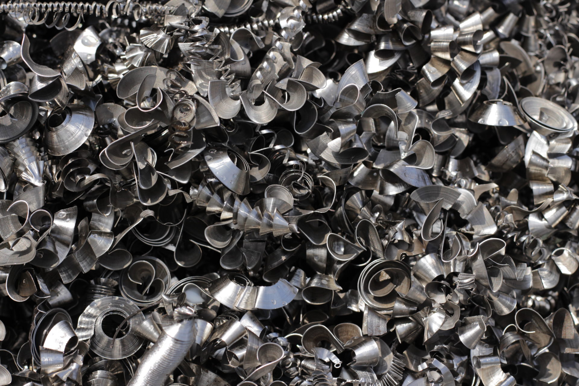 IMG_4510-e1468419305517